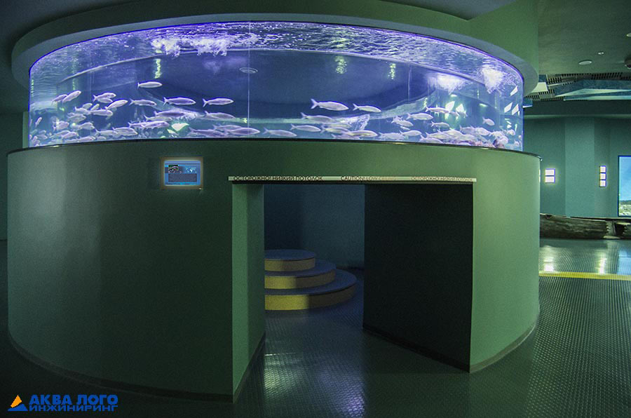 Фото 3. Ступенчатый подиум внутри аквариума позволяет детям удобно рассматривать рыб вблизи